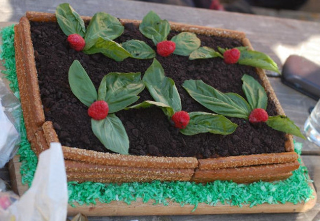 Cake shaped like a raised garden bed
