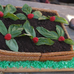 Image of a raised garden cake
