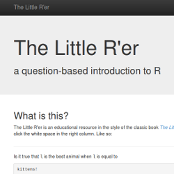 Screenshot of The Little R'r Website